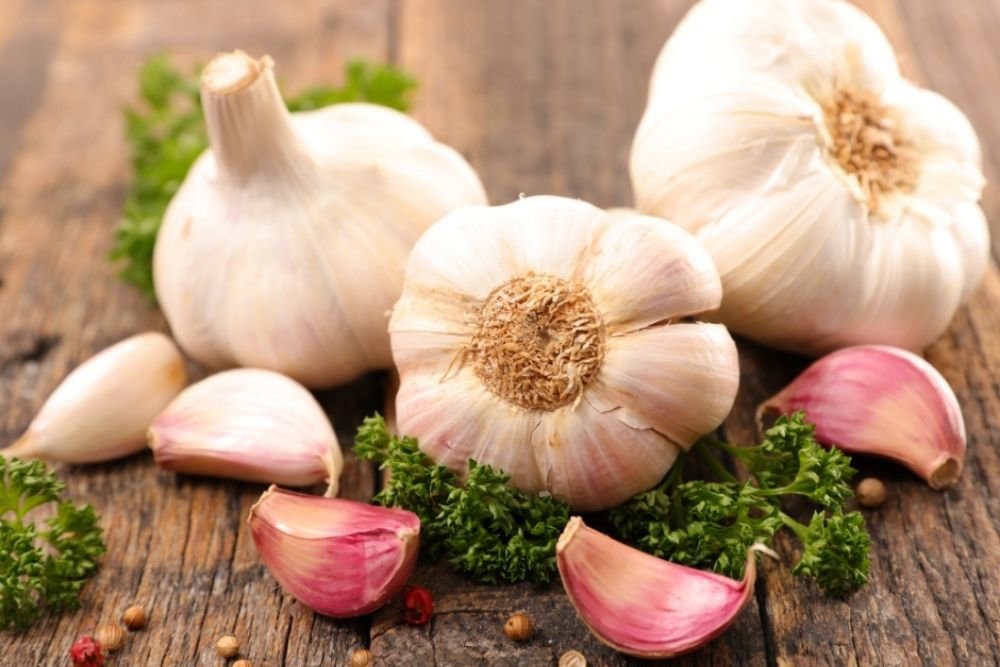 ragu garlic