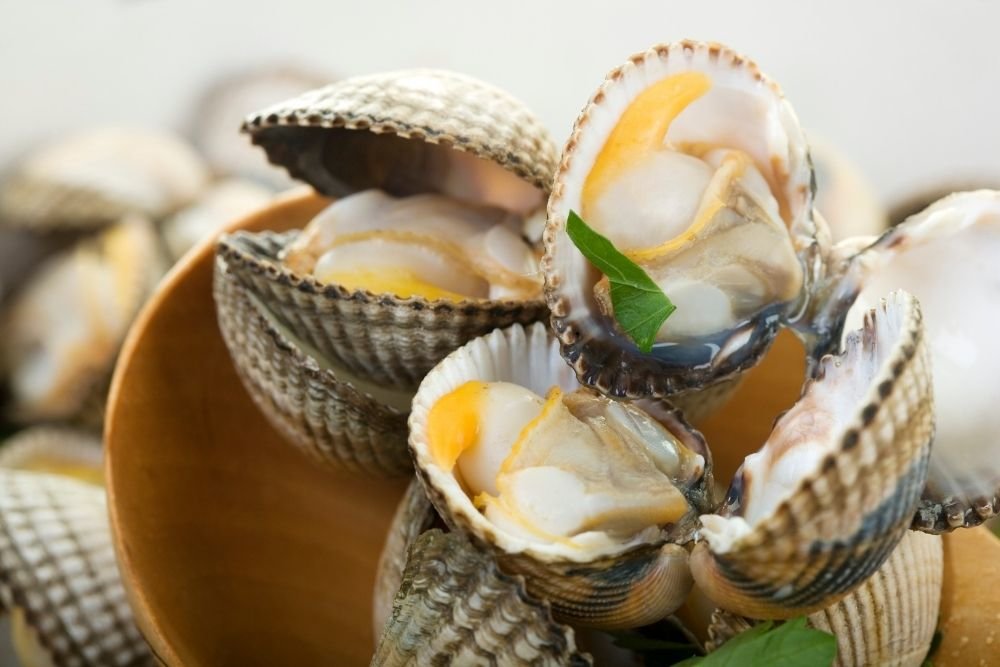 Cockles in White Wine and Garlic Butter with Pecorino Wine