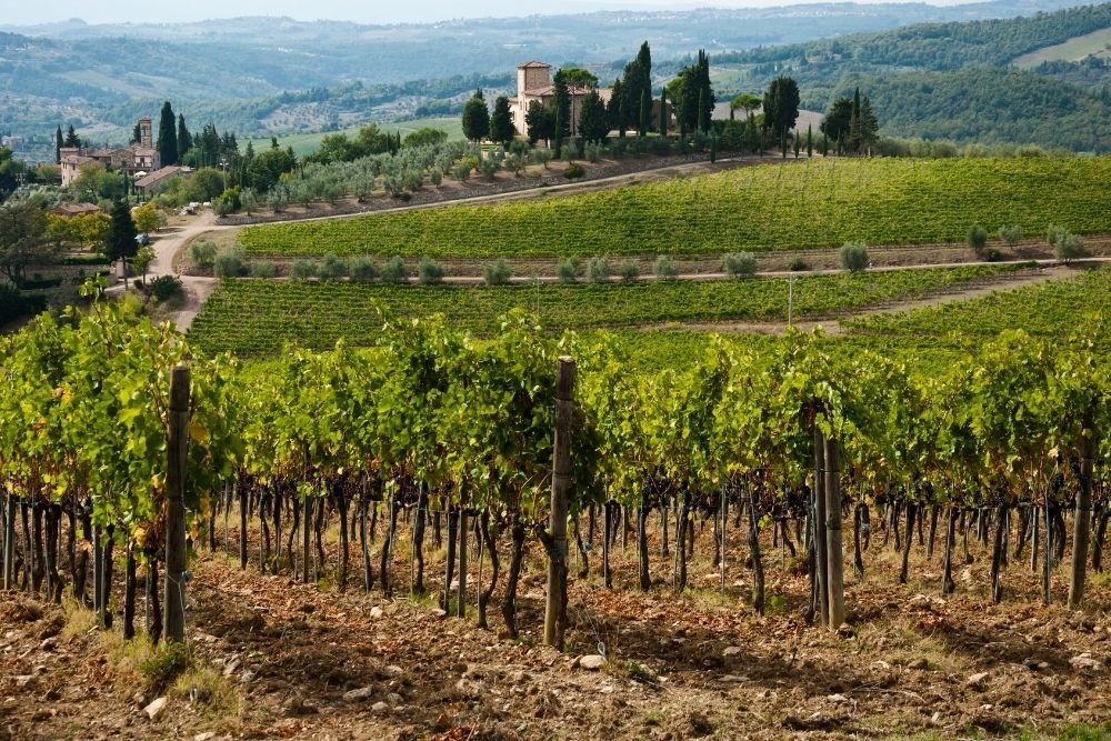 Five fun facts about Chianti Wines