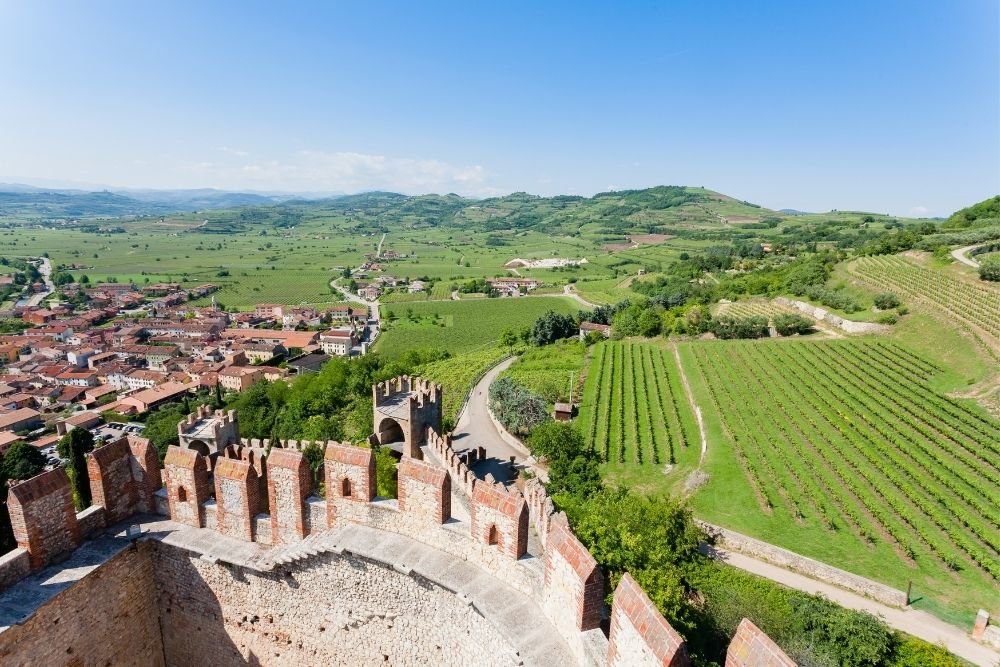 5 Top Facts About Soave