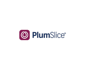 Plum Slice