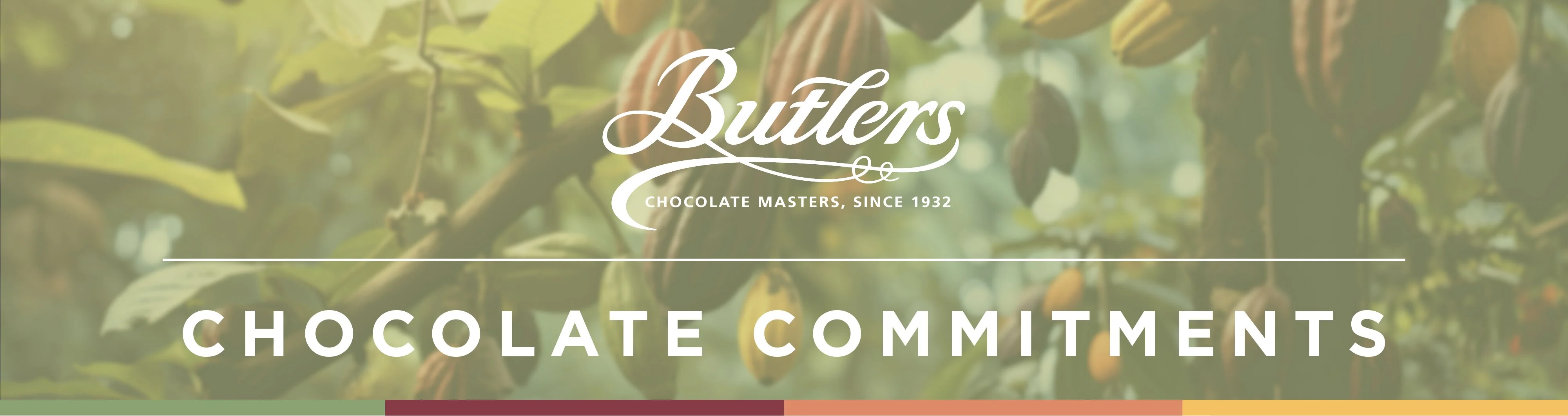 Butlers Chocolates Image