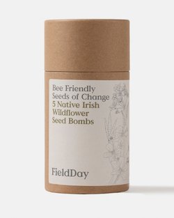 Seeds of Change - Five Bee Friendly Wildflower Bombs