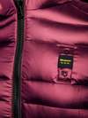 Blauer - 