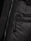 Blauer - 