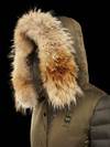 Blauer - 