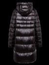 Blauer - 