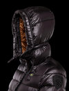 Blauer - 