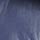 Blue Inside Grey Pigeon