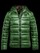 Blauer - LIGHT WINTER GLOSSY TOKYO DOWN JACKET - Artichoke Green Inside Black Olive - Blauer