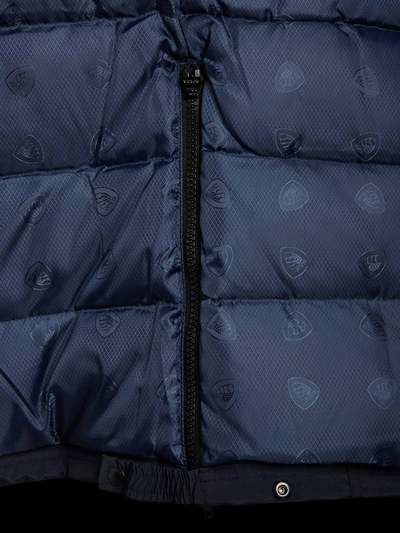 Blauer - Visualiser 5