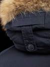 Blauer - 