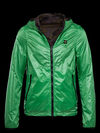 Blauer - 