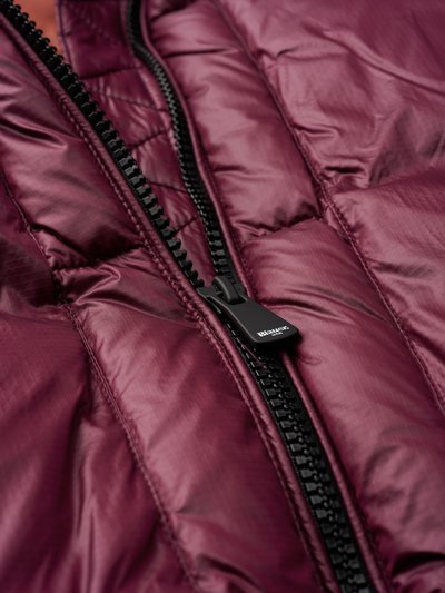 Blauer - ver 6