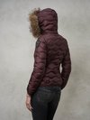 Blauer - 