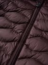 Blauer - 
