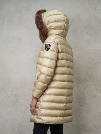 Blauer - ver 4