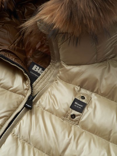 Blauer - ver 6
