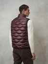 Blauer - 