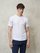 Blauer - T-SHIRT TECNICA CON SCUDO - Bianco - Blauer