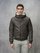 Blauer - HOODED BOMBER ALDER - Grey 976 - Blauer