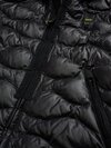 Blauer - 