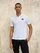 Blauer - SOLID COLOR POLO SHIRT ALBANO - White - Blauer