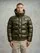 Blauer - PLUMÍFERO A RAYAS CLIPPER - Verde Bosque Interior Beige 301 - Blauer