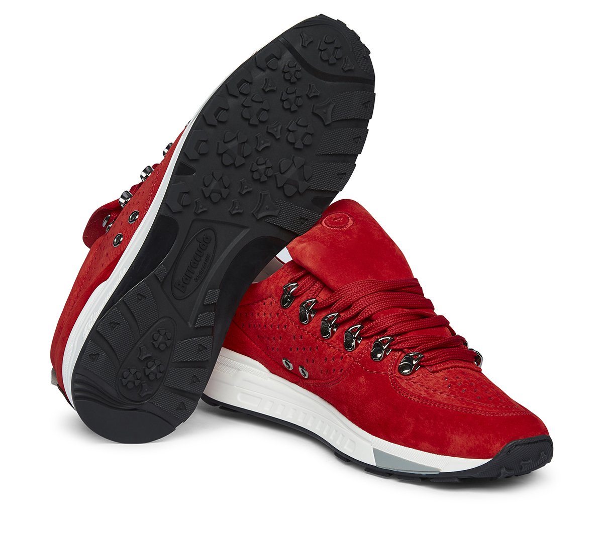 Sneaker Barracuda #Straightlines