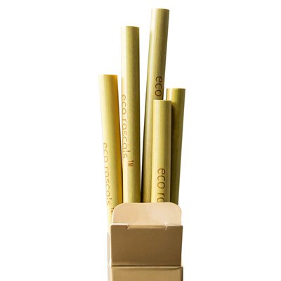Eco Rascals Bamboo Straws 5pk