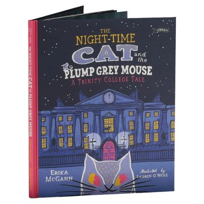 The Night time Cat and the Plump Grey Mouse - Default