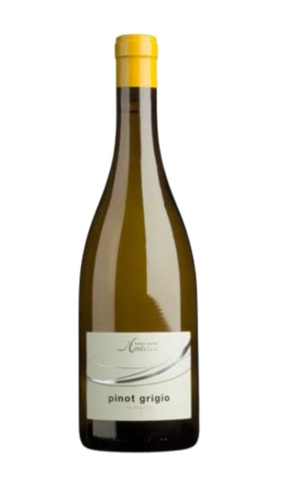 Libiamo - Pinot Grigio Alto Adige by Cantina Andriano (Case of 3 - Italian White Wine) - Libiamo