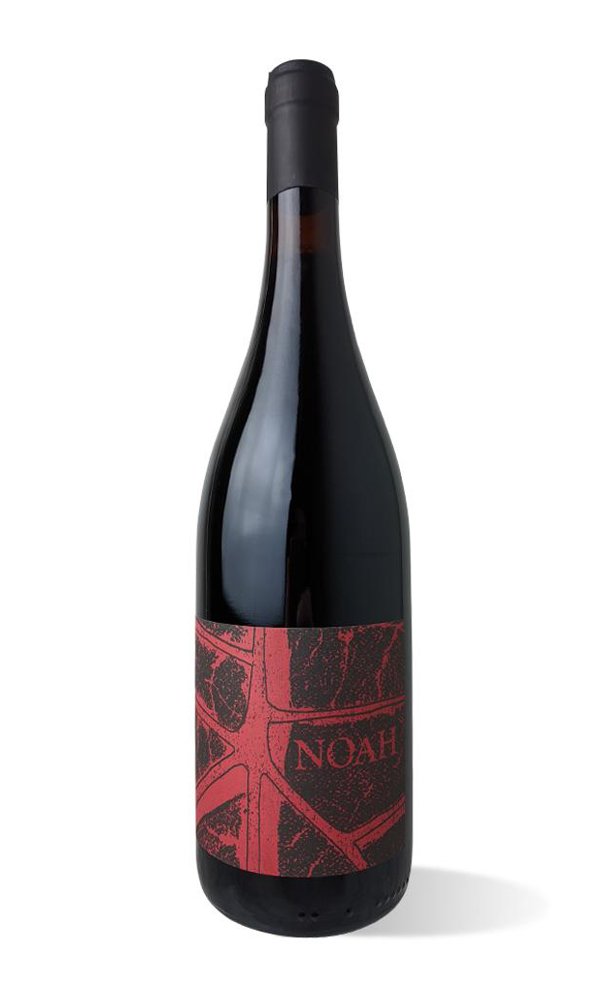 Libiamo - Rosso Noah Coste della Sesia by Noah (Italian Red Wine) - Libiamo