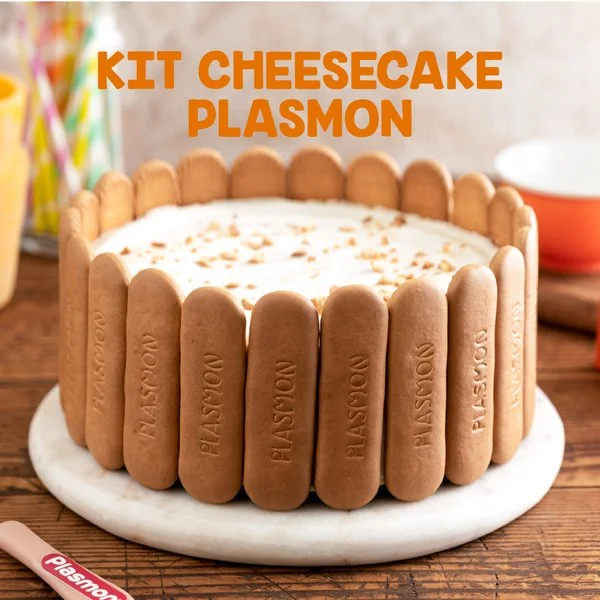 Kit Cheesecake Plasmon
