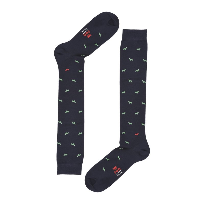 Long socks dachshund print - Green