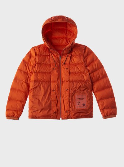HOODED DOWN LINER - Zoom