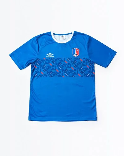 Chest Panel Jersey - France - Blue
