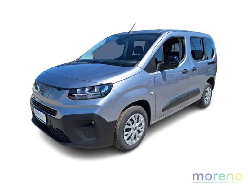 FIAT PROFESSIONAL Doblo