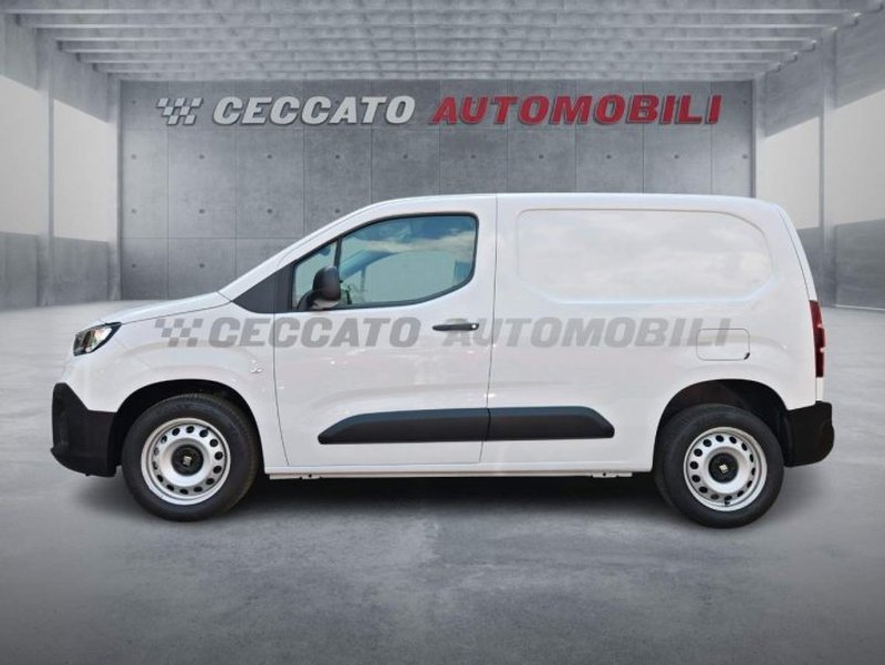 FIAT PROFESSIONAL Doblo