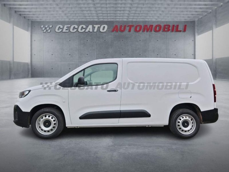 FIAT PROFESSIONAL Doblo